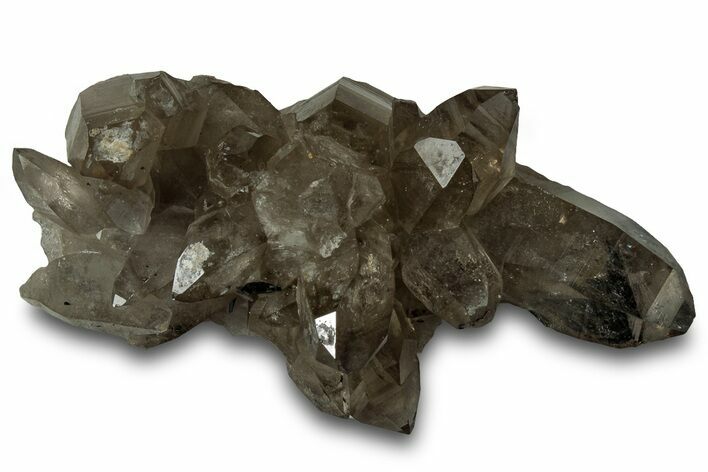 Lustrous Smoky Quartz Crystal Cluster with Schorl - Namibia #322774